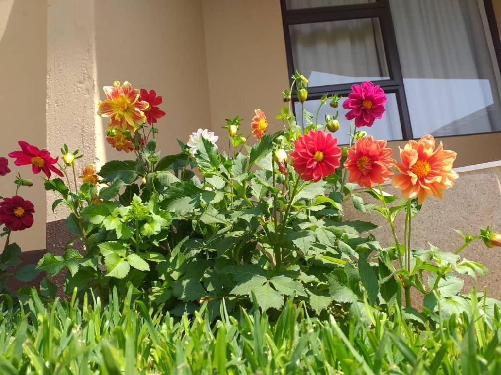 Styled Bed And Breakfast Palapye Εξωτερικό φωτογραφία